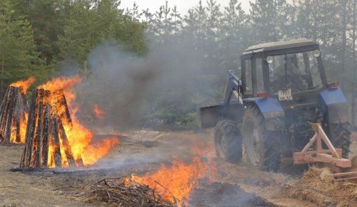 В Нижегородской области объявлен четвёртый класс пожароопасности лесов 