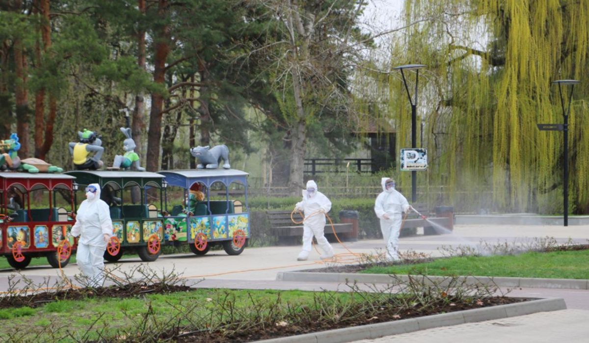 В Воронеже парки и скверы обрабатывают от комаров и клещей