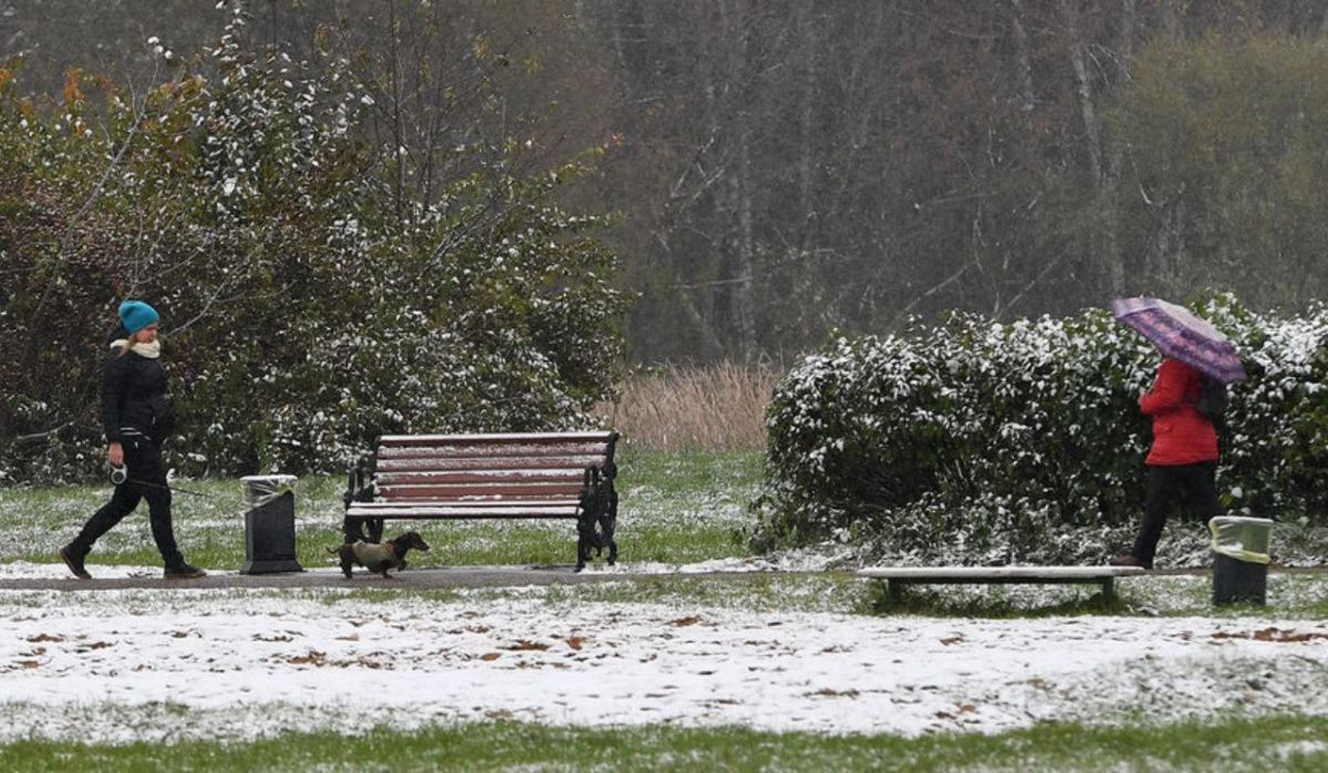 В Воронеже 24 апреля прогнозируют мокрый снег