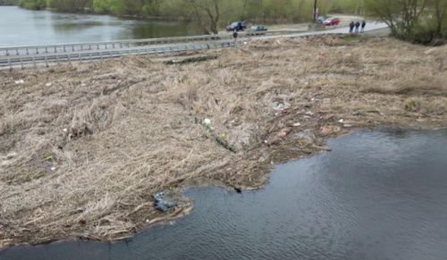 В Воронежской области половодье освободило последний затопленный мост