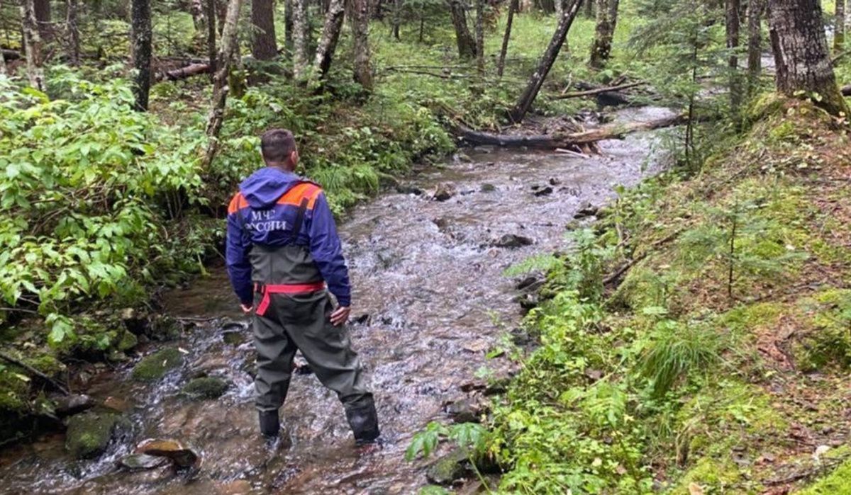 Число пропавших без вести выросло на 70% за пять лет