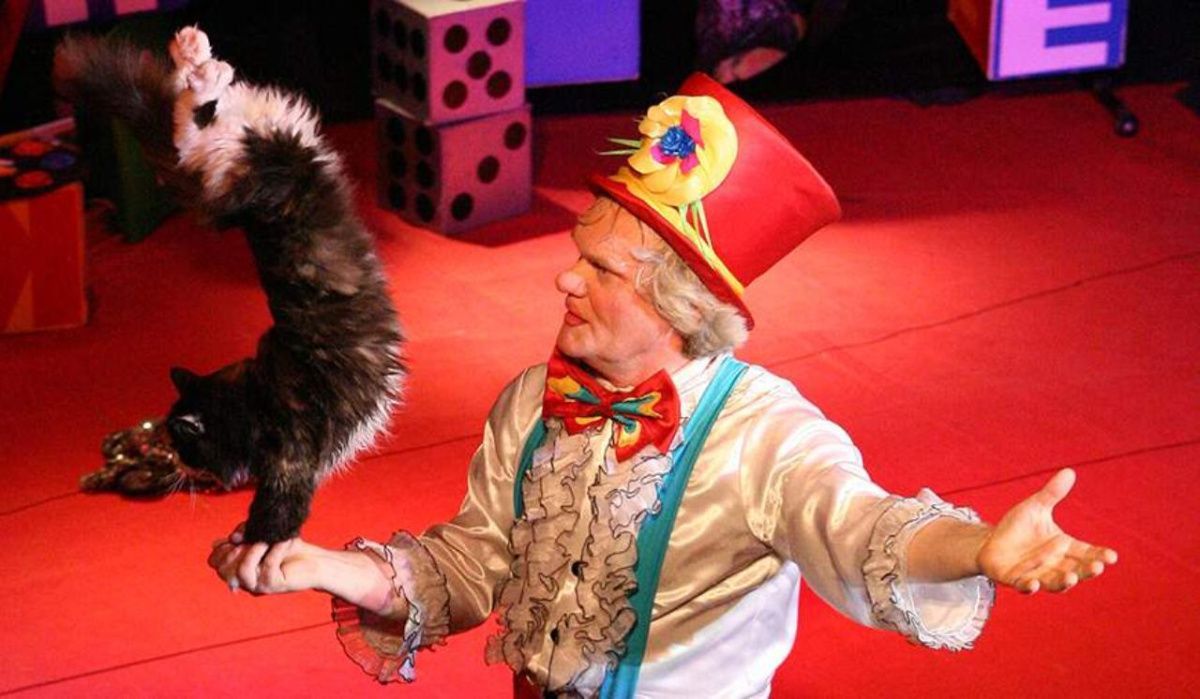 Куклачев прокомментировал новость о завершении своей карьеры