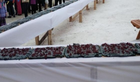 Воронежский 103-метровый меренговый рулет попал в Книгу рекордов России