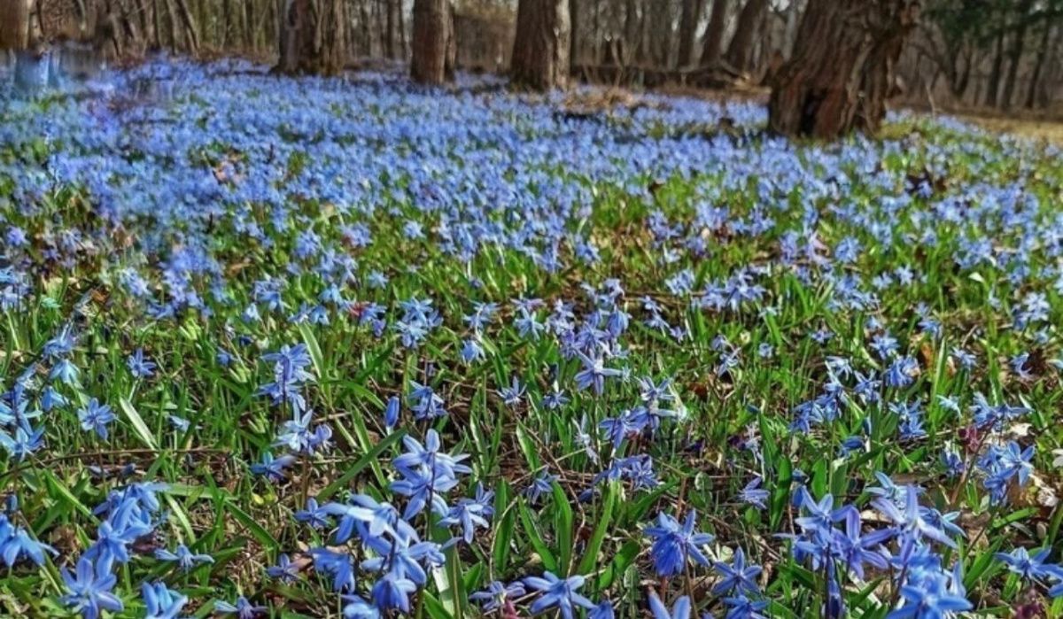 В Воронежской области ожидается потепление до +20 градусов