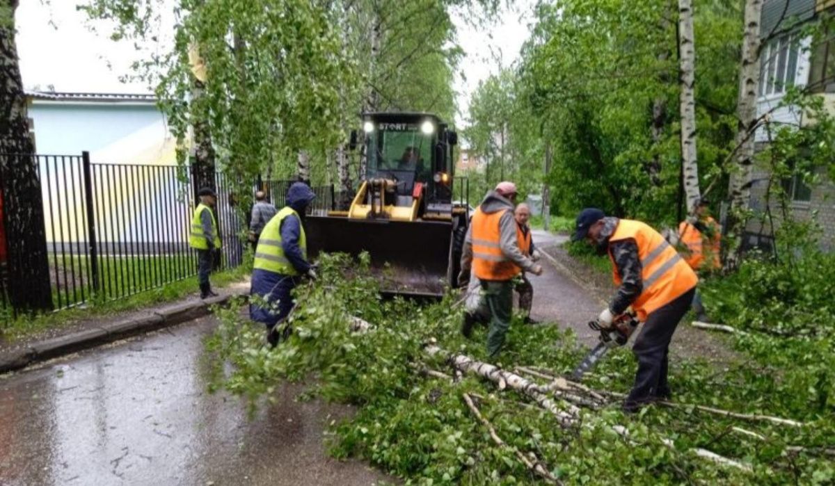 В Перми устраняют последствия урагана