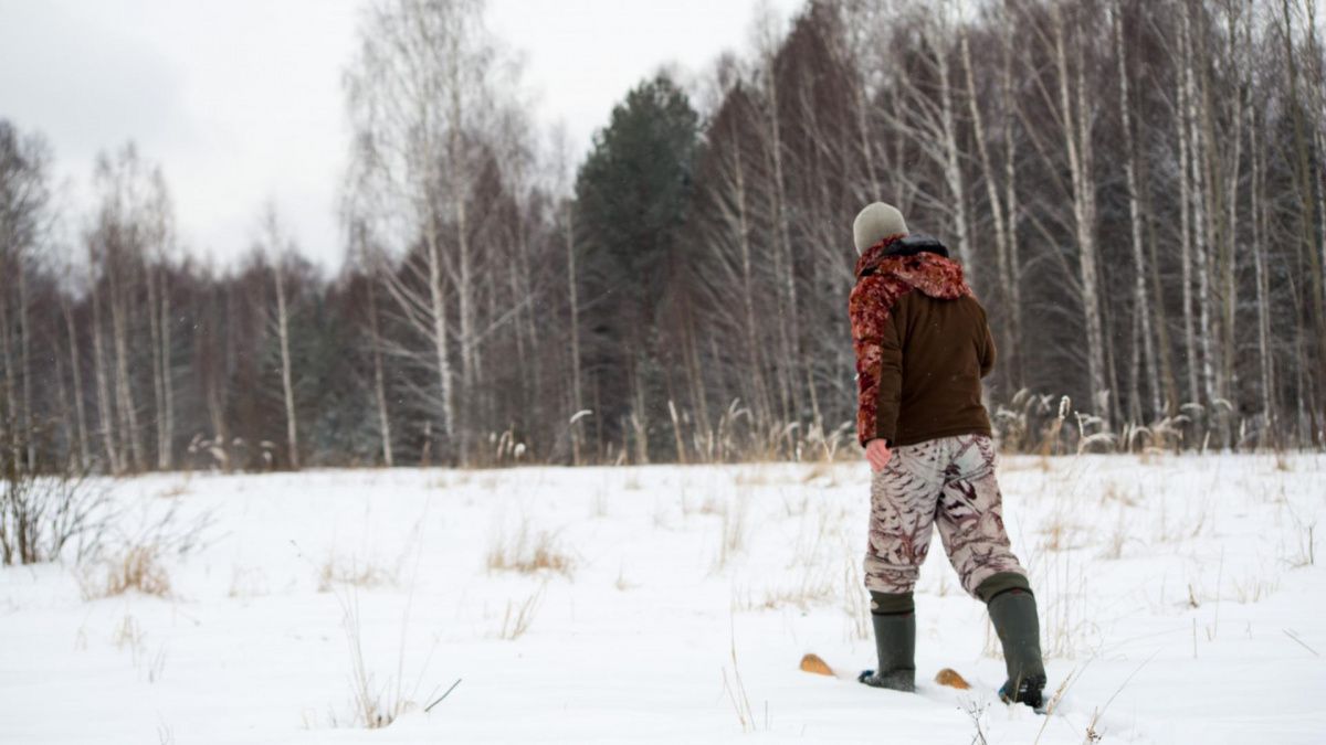 В Нижегородской области идёт «перепись» диких животных