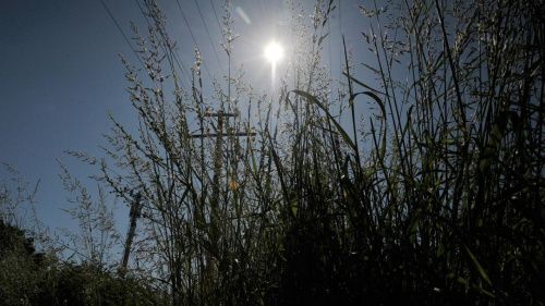 Самое мощное солнечное затмение за последние 9 лет смогут увидеть жители Воронежа