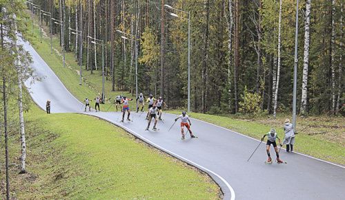 В Воронежской области ищут подрядчика для возведения лыжероллерной трассы 