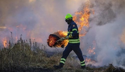 Воронежской области объявили четвертый класс пожароопасности