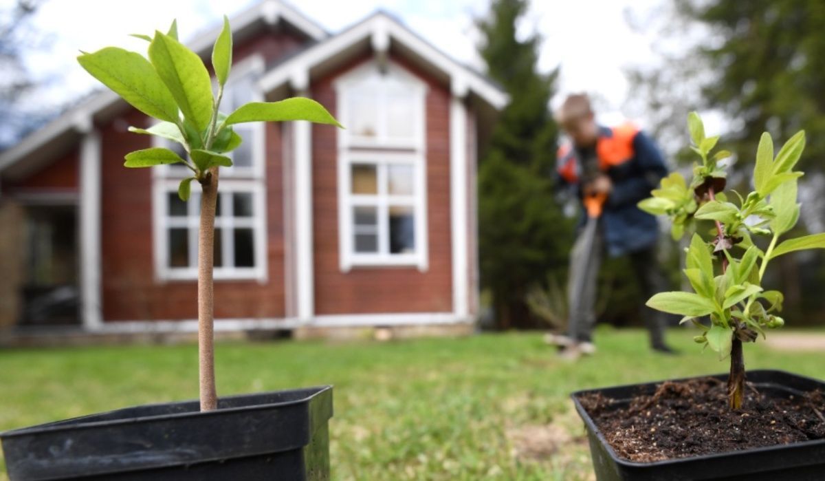 Садовый дом официально признан жилым