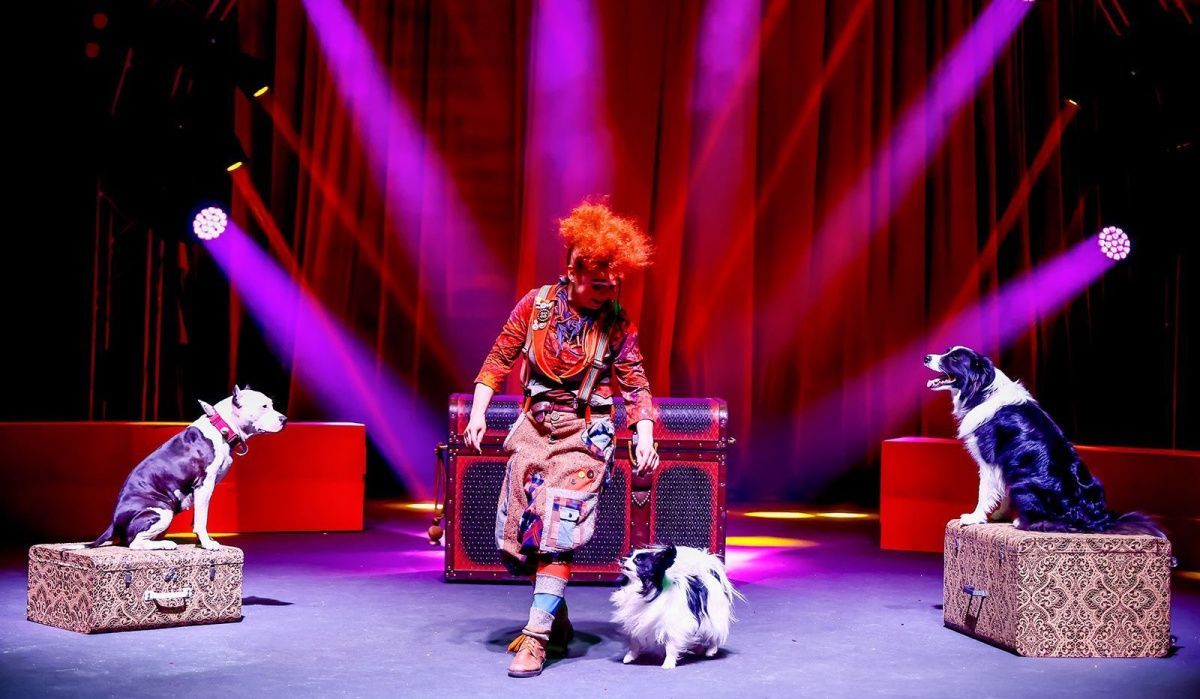 Международное шоу «Пять цирков — один манеж» посетит Москву