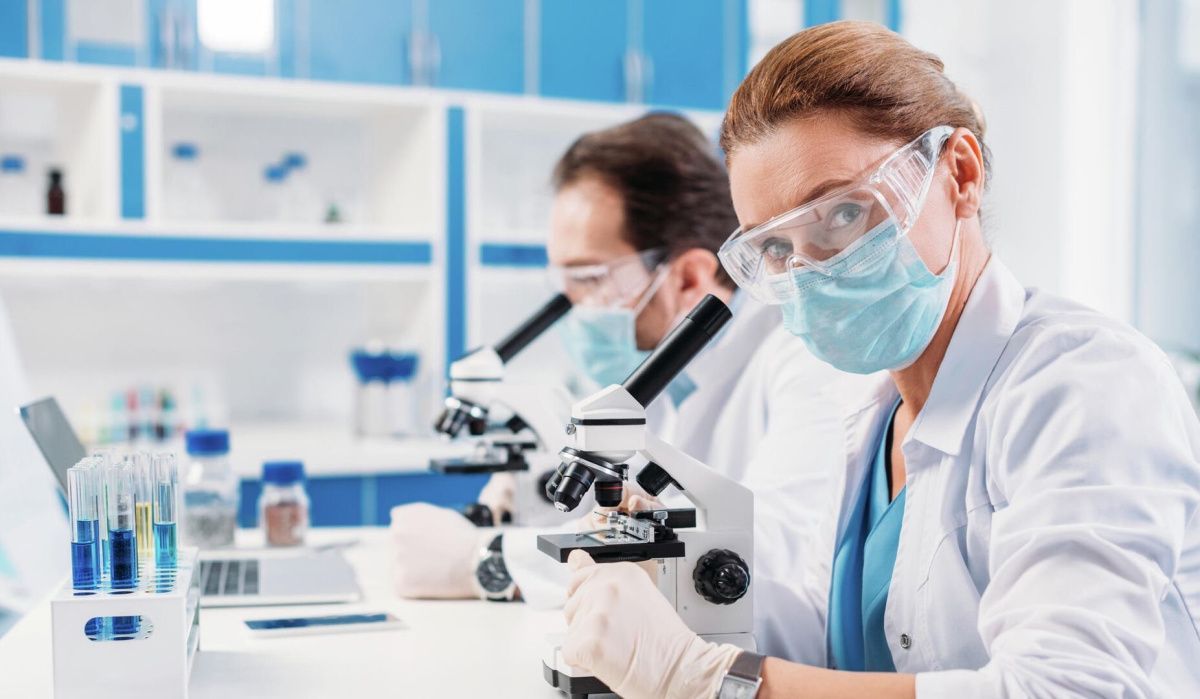 Новгородские ученые создали аналог лакмусовой бумаги из овощей