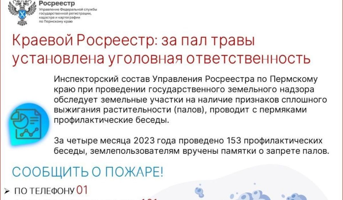 В Пермском крае за пал травы установлена уголовная ответственность