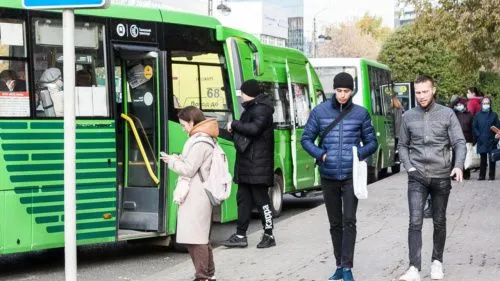 В Воронеже запустят чат-бот для пассажиров маршруток