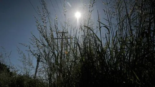 Самое мощное солнечное затмение за последние 9 лет смогут увидеть жители Воронежа