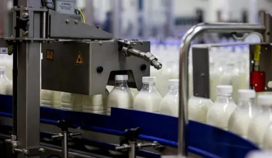 В Воронежской области сняли с продажи несколько сотен кг опасных молочных продуктов